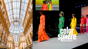 white woman with long blonde hair, which stands in front of a clean grey background looking into the camera